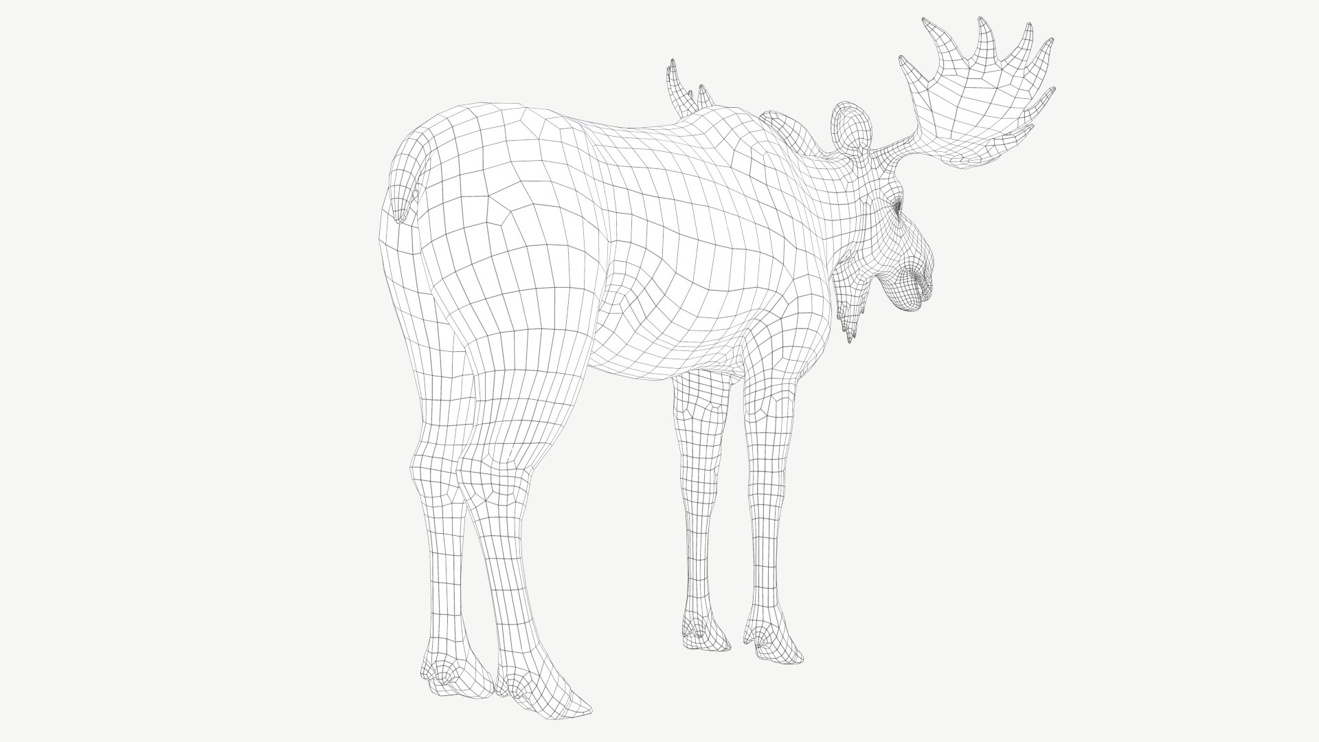 Moose 3D model https://p.turbosquid.com/ts-thumb/31/4tEmOl/w8/3a/png/1643502881/1920x1080/fit_q87/251e6ac47ea39f7066cbbb9a6eeb9d504c5685eb/3a.jpg