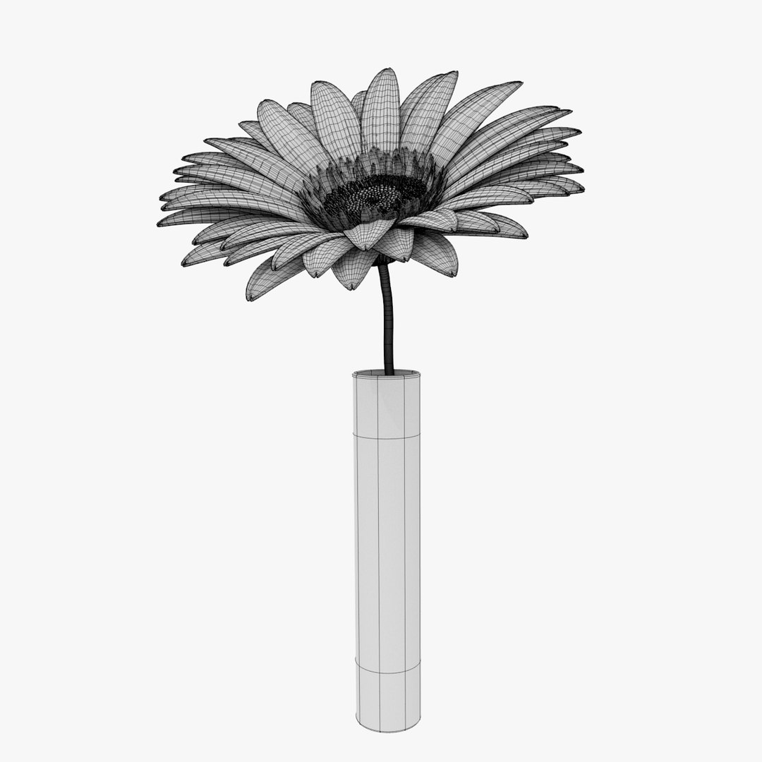 3ds gerbera flower