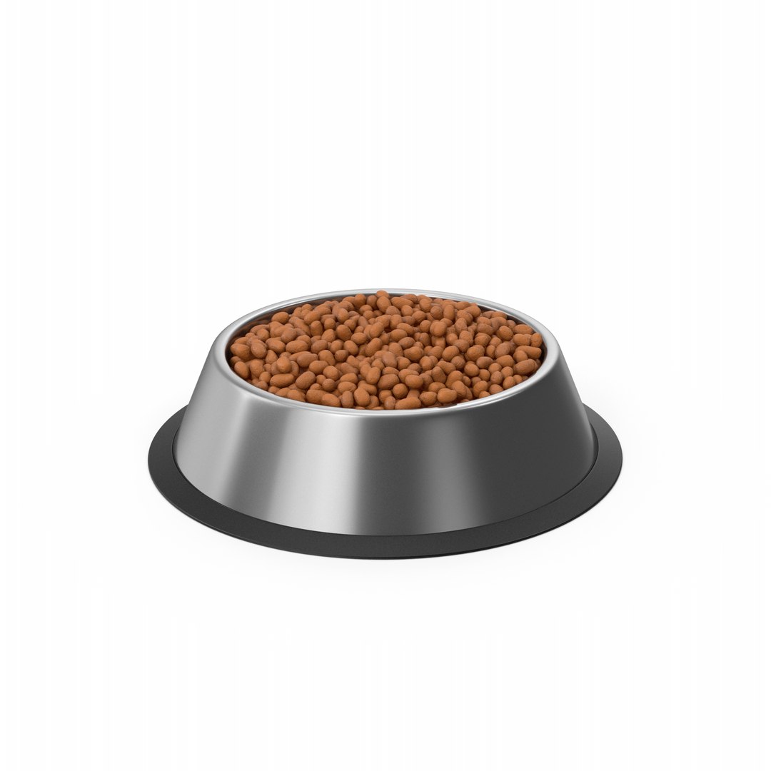 3D Dog Food Bowl TurboSquid 2146426