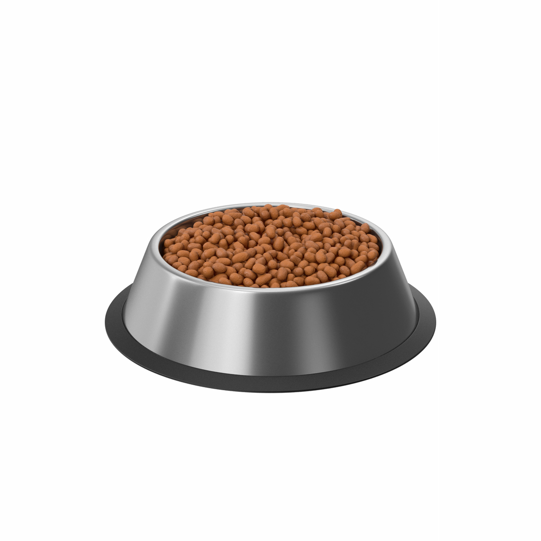 3D Dog Food Bowl - TurboSquid 2146426