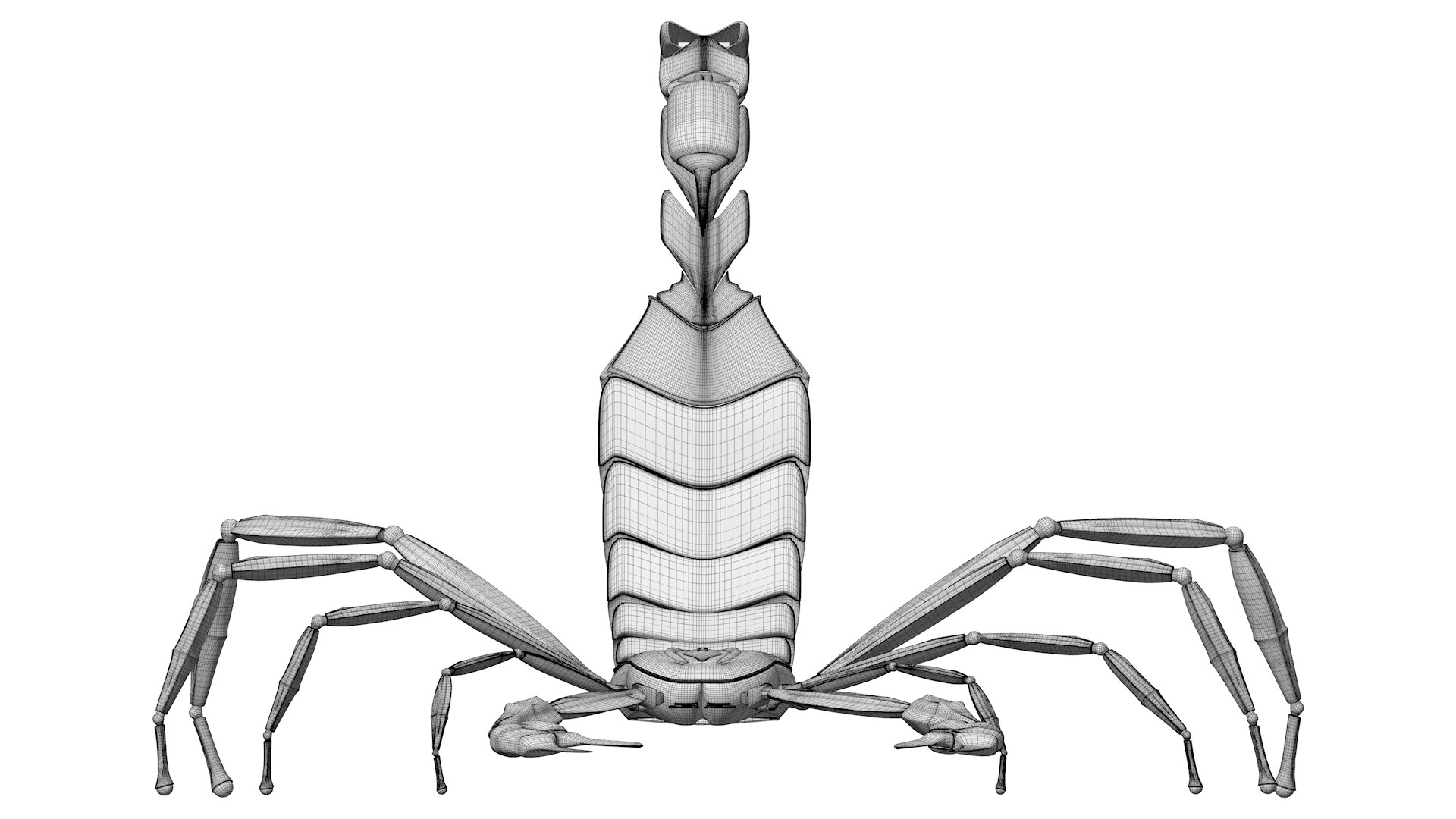 Scorpio 3d Model Turbosquid 1925693 0884