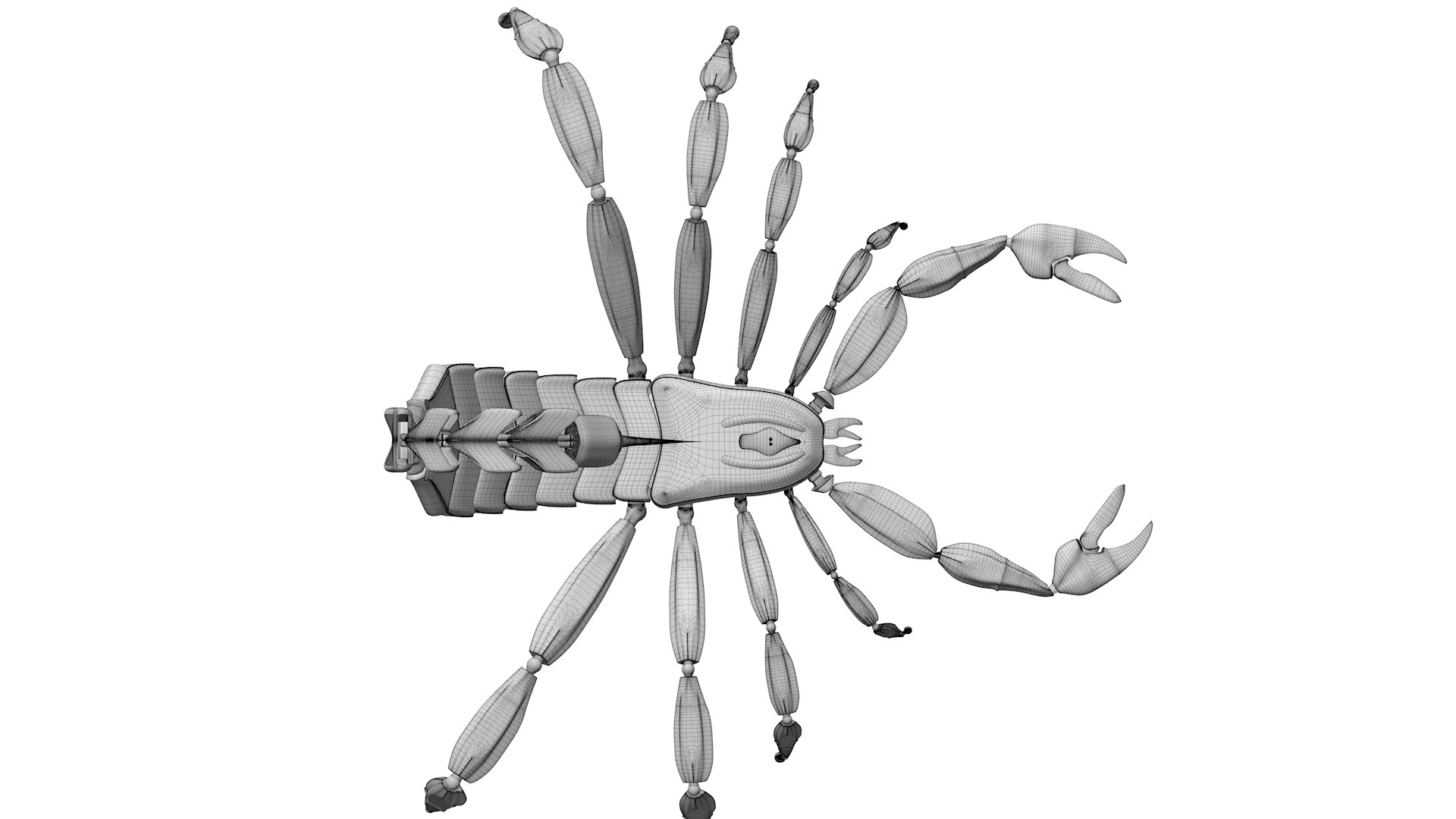 Scorpio 3d Model Turbosquid 1925693 8429