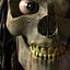 pirateSkull