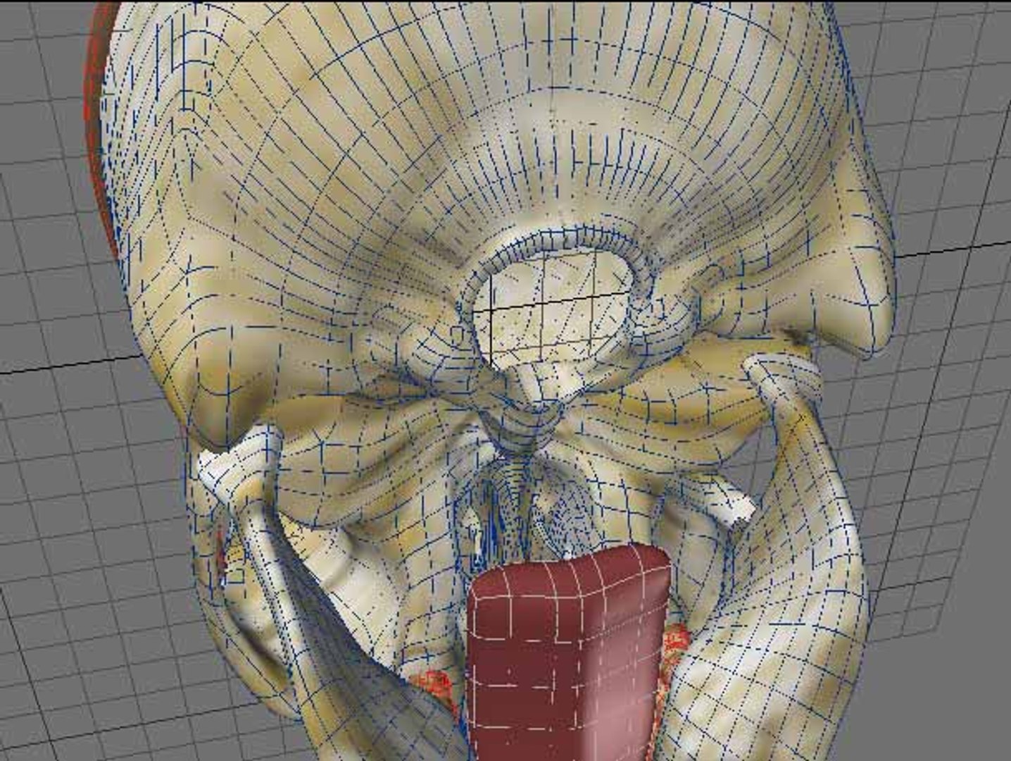lwo talking pirate skull character https://p.turbosquid.com/ts-thumb/31/WgrqjR/UI8VQ7DV/screen11/jpg/1200779270/1920x1080/fit_q87/9b722a95eaba08e9451962fe209b7ce6ba40fd8c/screen11.jpg