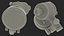 Transmitted Light Microscope Gray