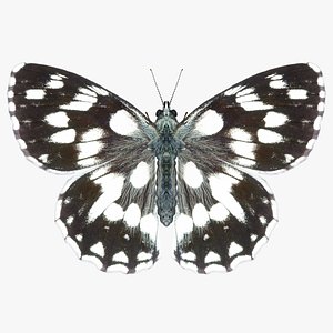 realistic marbled white 3D model