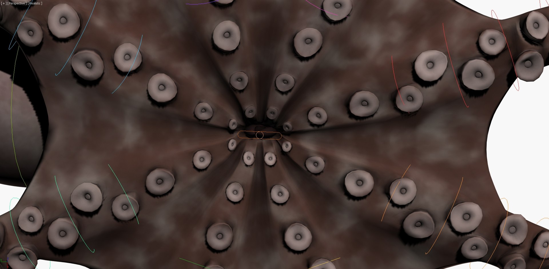 3D Octopus Rigged Model - TurboSquid 1158996