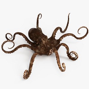 Octopus Rigged