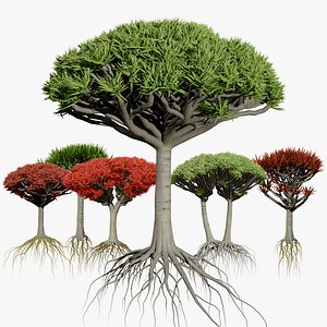 3D Dragon Blood Tree Asset