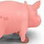 Cartoon Pig
