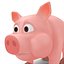 Cartoon Pig