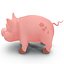 Cartoon Pig