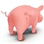 Cartoon Pig