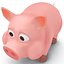 Cartoon Pig