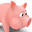 Cartoon Pig