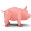 Cartoon Pig