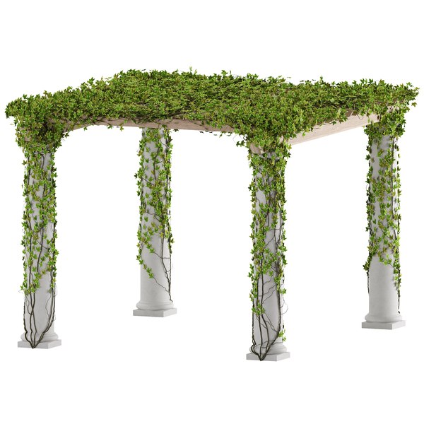 Classic pergola with ivy v1 3D model TurboSquid 1834269
