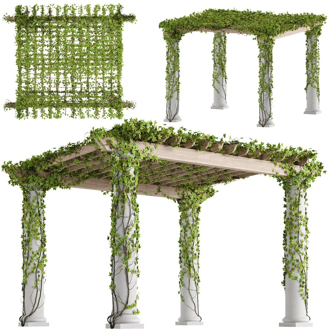 Classic Pergola With Ivy V1 3D Model TurboSquid 1834269