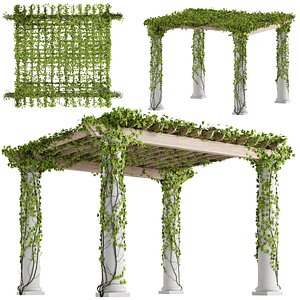 Classic pergola with ivy v1 3D model