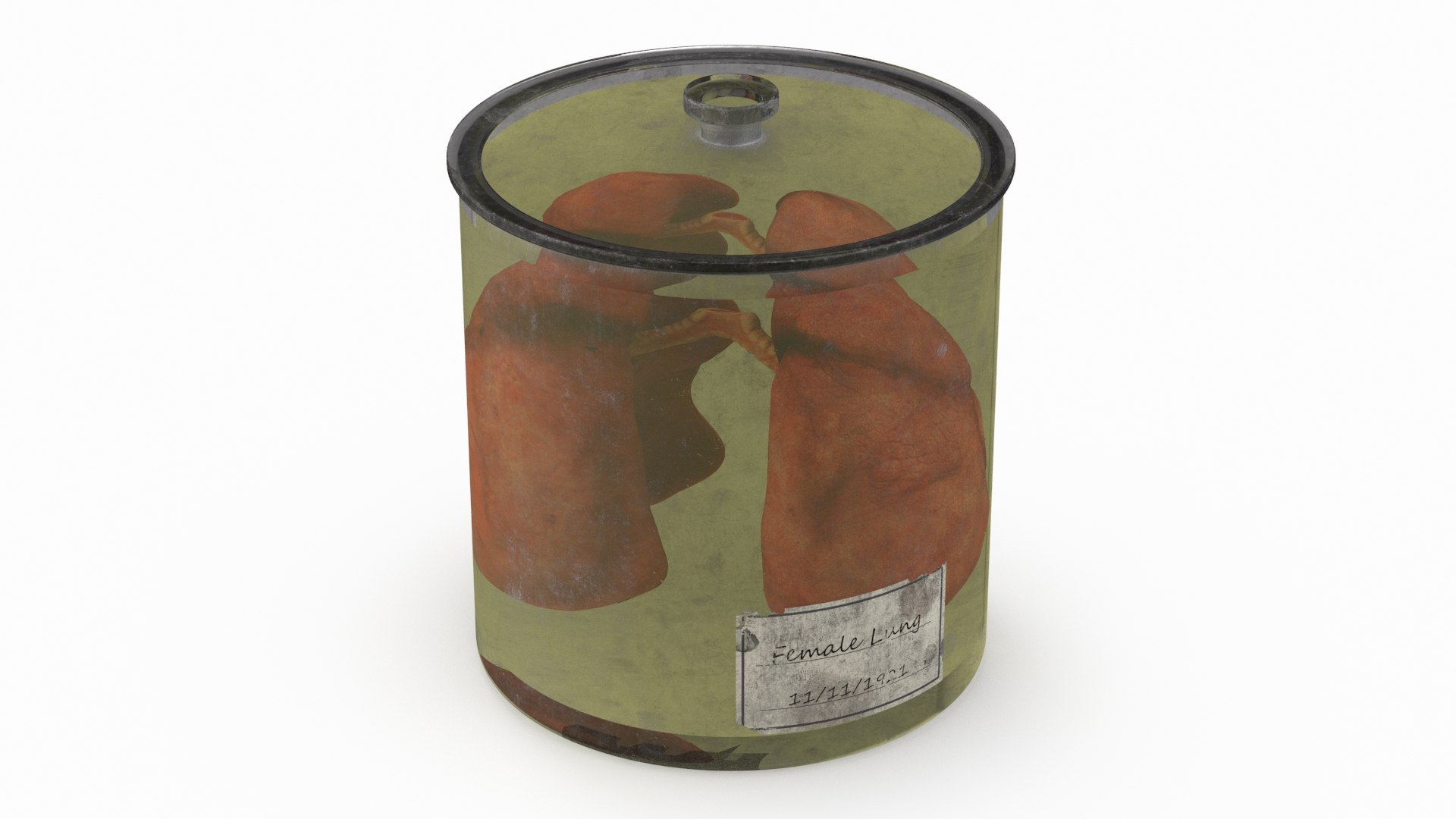 Human Lungs in Old Glass Jar 3D model preview