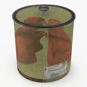 3D Human Lungs in Old Glass Jar
