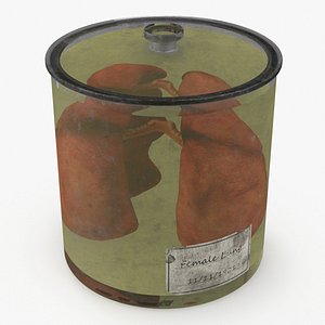 Human Lungs in Old Glass Jar