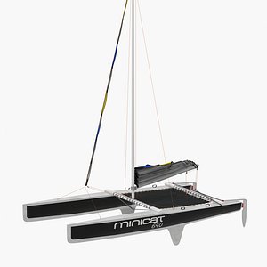 Small Sail Catamaran Black 3D Model