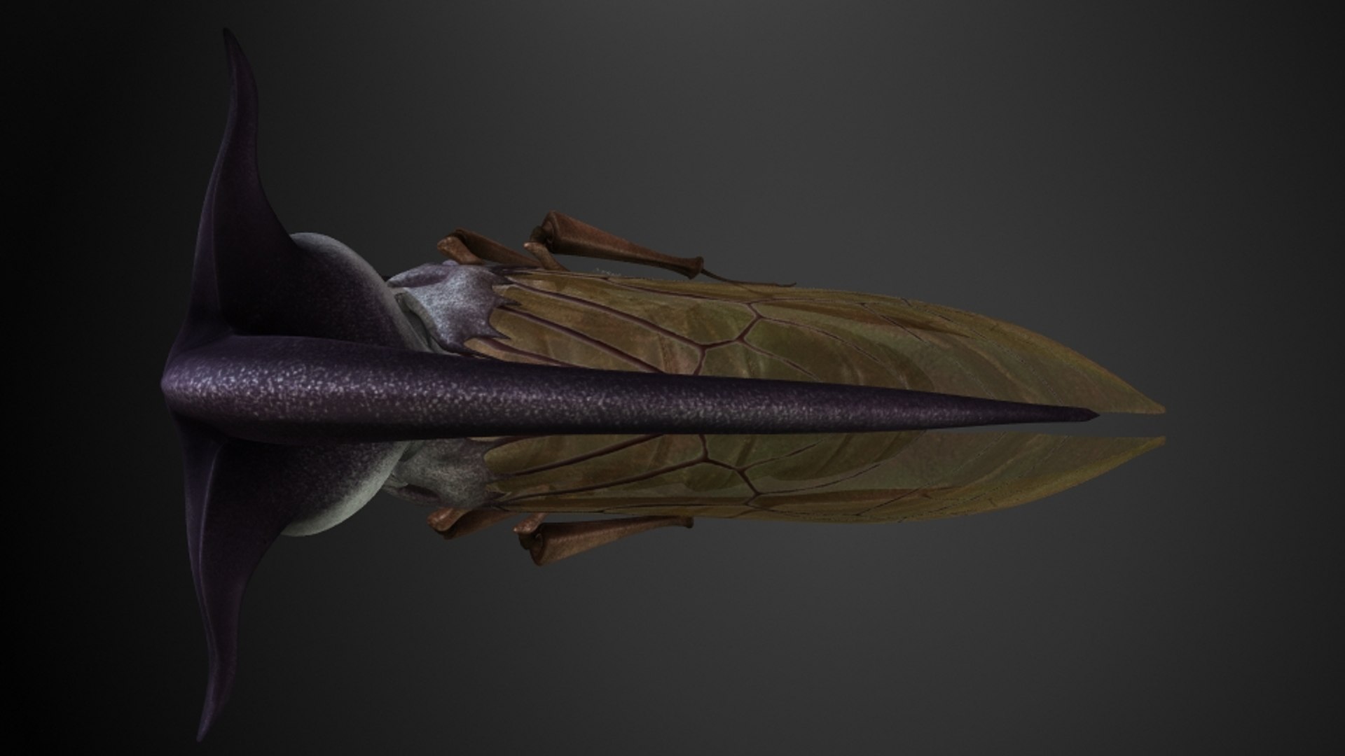 3D angle cicada insects model https://p.turbosquid.com/ts-thumb/32/LlolTM/NSkhuimO/3/jpg/1534573990/1920x1080/fit_q87/5d2de2667c17044130dc2746adb5246efa8af68c/3.jpg