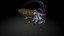 insects / Angle cicada