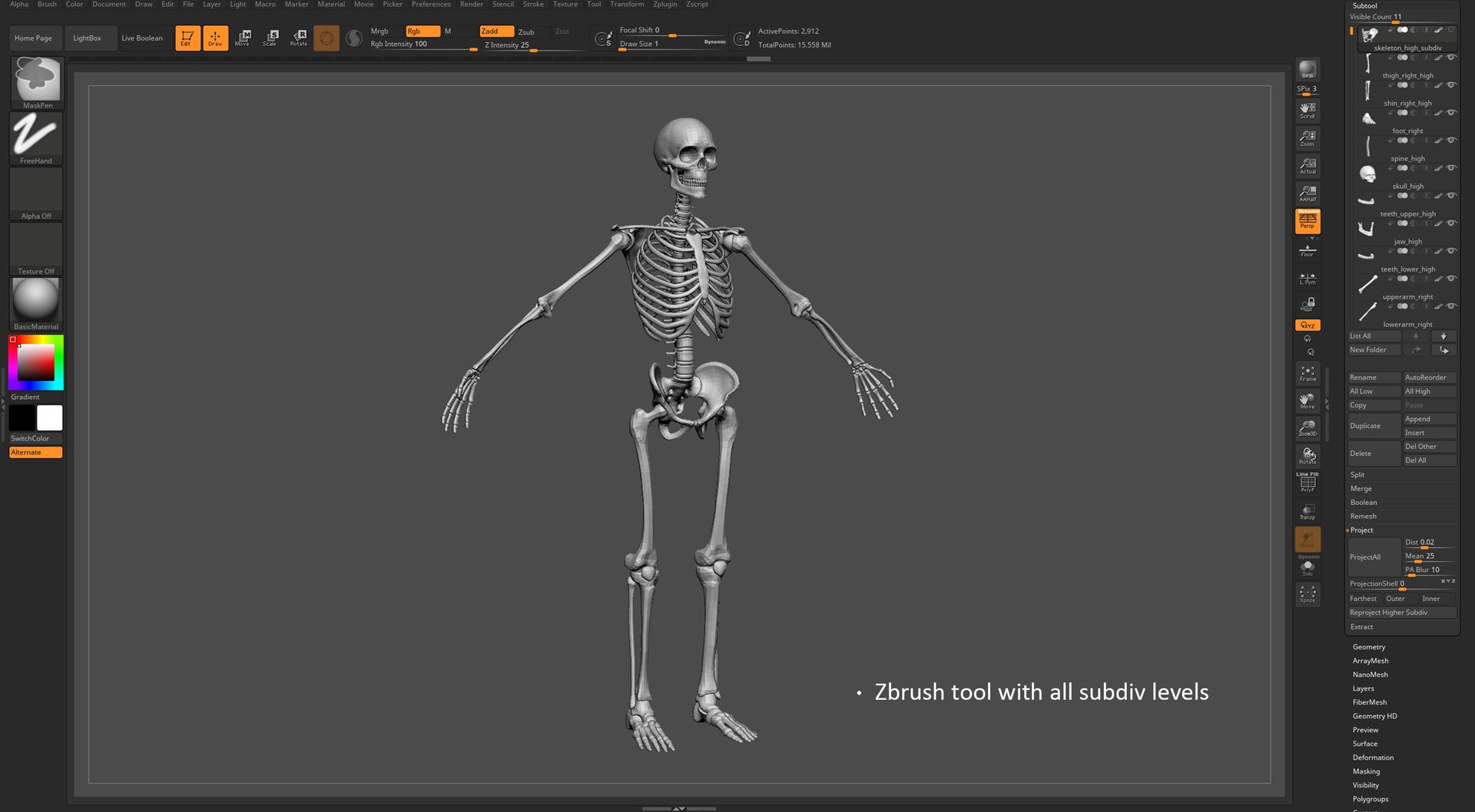 Skeleton basemesh 3D model https://p.turbosquid.com/ts-thumb/32/MOAFL6/O2/zbrush_skeleton_002/jpg/1702461025/1920x1080/fit_q87/2164a4c3179bdcc4a897d132f52e0be822edc1bc/zbrush_skeleton_002.jpg