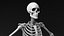 Skeleton basemesh