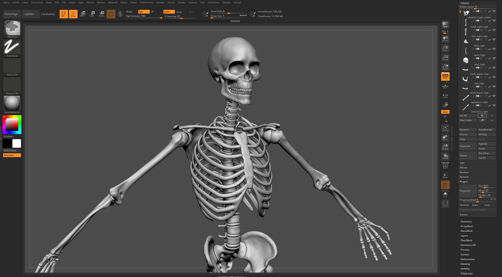 Skeleton basemesh 3D model https://p.turbosquid.com/ts-thumb/32/MOAFL6/p7/zbrush_skeleton_003/jpg/1702461026/1920x1080/fit_q87/2029398e585436b38db08eb6cb764d139c1d501d/zbrush_skeleton_003.jpg