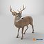 Odocoileus Virginianus Standing Pose