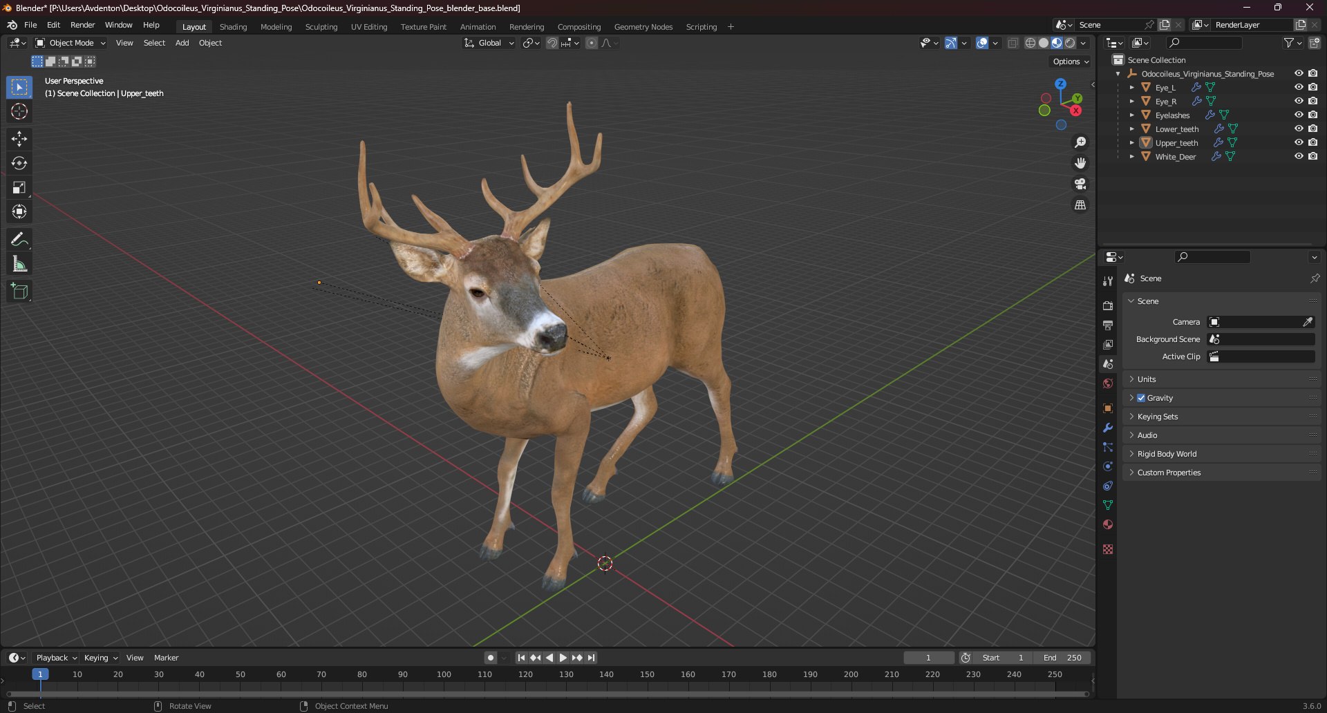 3D Odocoileus Virginianus Standing Pose model https://p.turbosquid.com/ts-thumb/32/MpA04I/1K/odocoileus_virginianus_standing_pose_1002/jpg/1743545177/1920x1080/fit_q87/06395105d35a0c036b021676196b2856585fe625/odocoileus_virginianus_standing_pose_1002.jpg