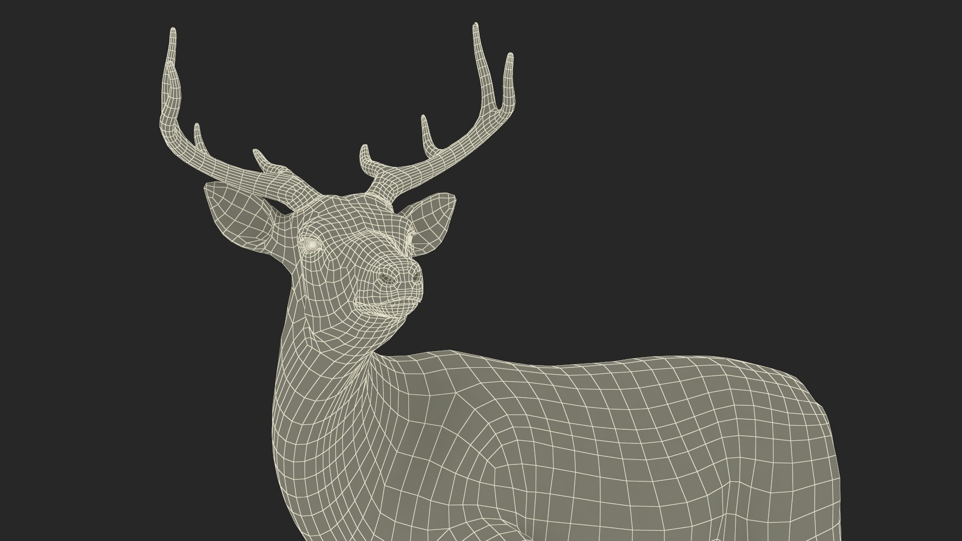 3D Odocoileus Virginianus Standing Pose model https://p.turbosquid.com/ts-thumb/32/MpA04I/46/odocoileus_virginianus_standing_pose_018/jpg/1743545160/1920x1080/fit_q87/3b0961d76ab3772da0a3df7e66d6faa534b2e486/odocoileus_virginianus_standing_pose_018.jpg