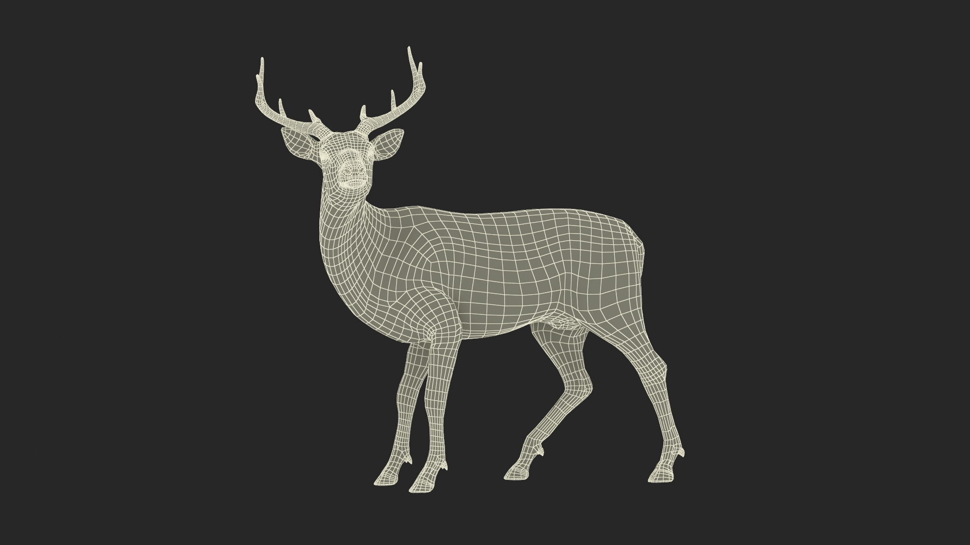 3D Odocoileus Virginianus Standing Pose model https://p.turbosquid.com/ts-thumb/32/MpA04I/5r/odocoileus_virginianus_standing_pose_361/jpg/1743544984/1920x1080/turn_fit_q99/b0aab01c9aa9a3db1cdf8917798b9aef17782710/odocoileus_virginianus_standing_pose_361-1.jpg