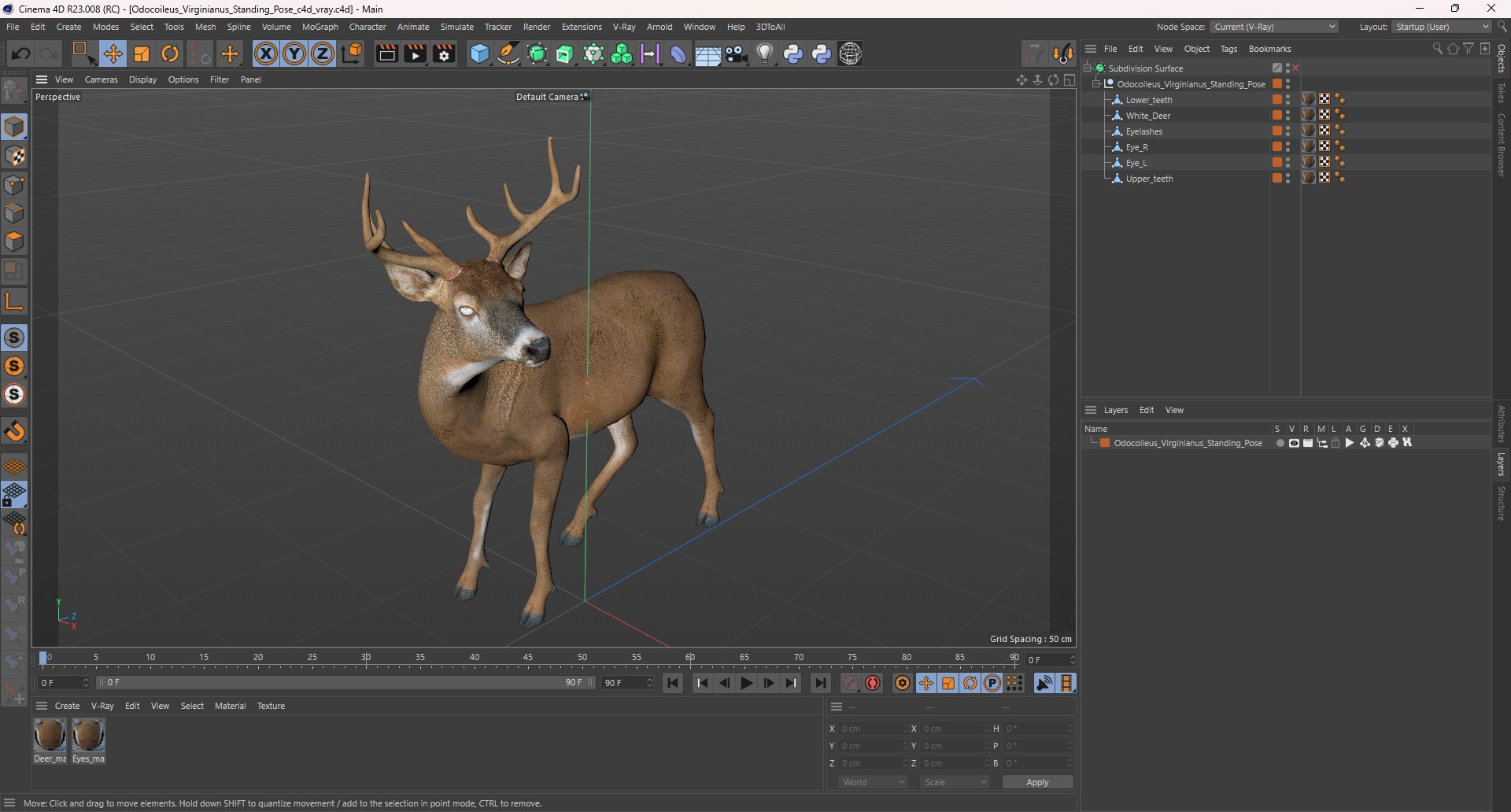 3D Odocoileus Virginianus Standing Pose model https://p.turbosquid.com/ts-thumb/32/MpA04I/EW/odocoileus_virginianus_standing_pose_1003/jpg/1743545181/1920x1080/fit_q87/95251073d00868810b3be52257a72fd112f9d9b8/odocoileus_virginianus_standing_pose_1003.jpg