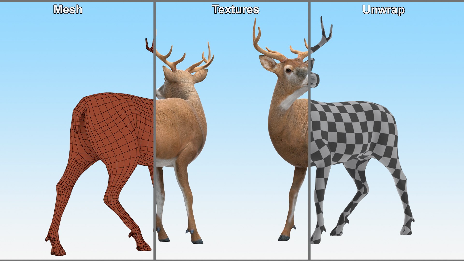 3D Odocoileus Virginianus Standing Pose model https://p.turbosquid.com/ts-thumb/32/MpA04I/Yl/odocoileus_virginianus_standing_pose_012/jpg/1743545137/1920x1080/fit_q87/7cd719f78579acb368e95cf831fcccd36f8b81af/odocoileus_virginianus_standing_pose_012.jpg