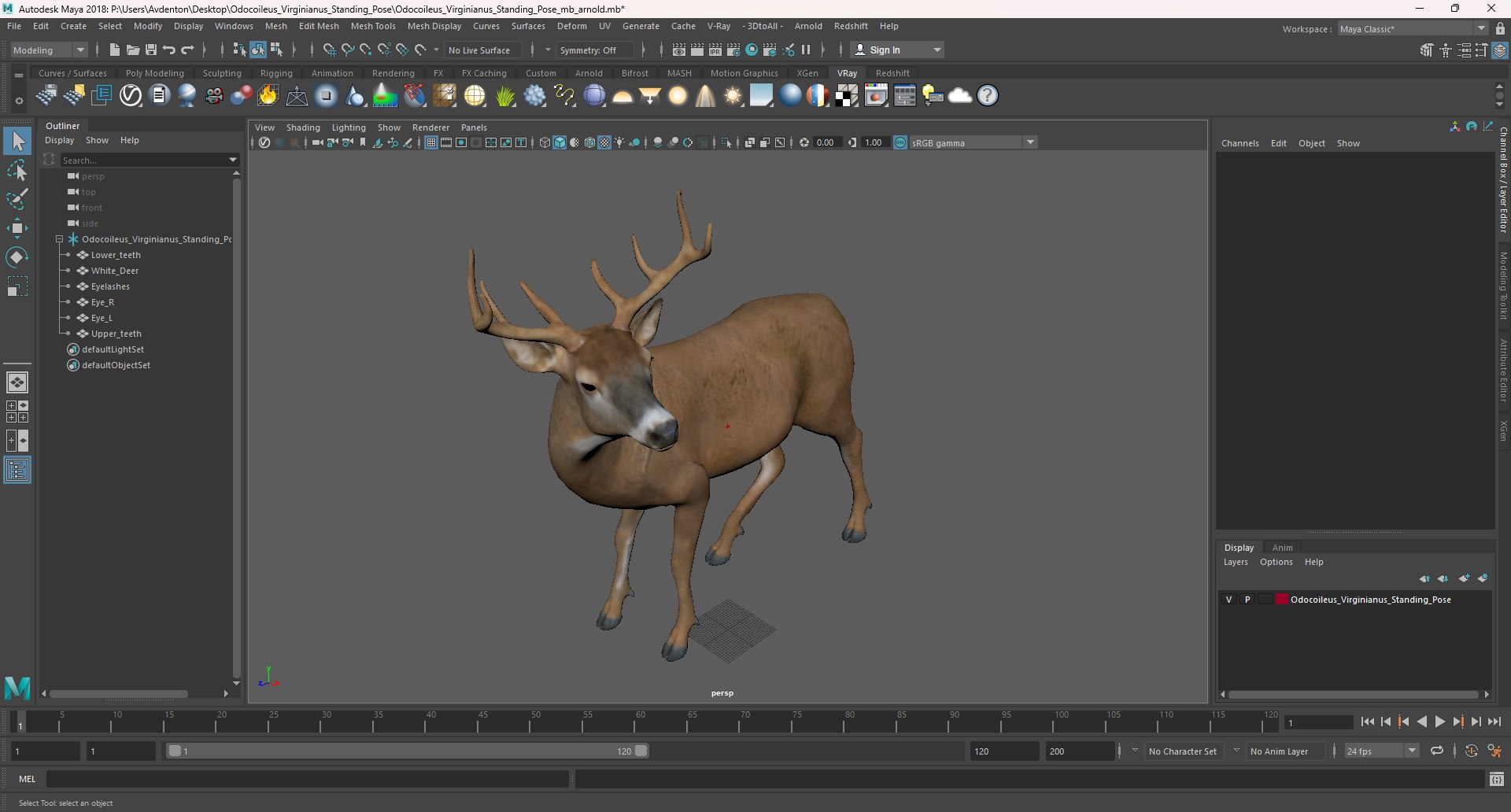 3D Odocoileus Virginianus Standing Pose model https://p.turbosquid.com/ts-thumb/32/MpA04I/Zg/odocoileus_virginianus_standing_pose_1001/jpg/1743545173/1920x1080/fit_q87/4e3c3a9e0b4066eb7a59b8d031c81c5da893f89a/odocoileus_virginianus_standing_pose_1001.jpg