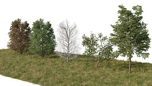 arbre realiste  herbe 3D model
