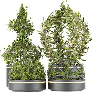 3D Collection plant vol 32
