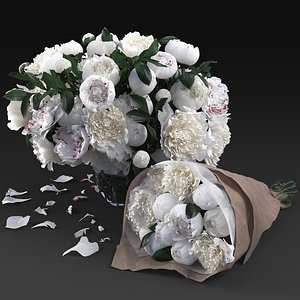peony white 3D model