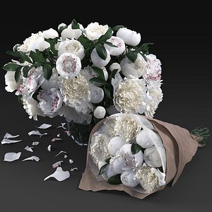 White peony