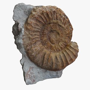 3dsmax fossil