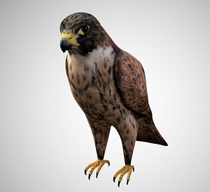 falcon rigged 3D model