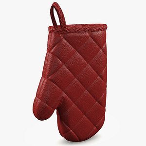 Oven Mitt 2