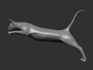 3D model jumping cat