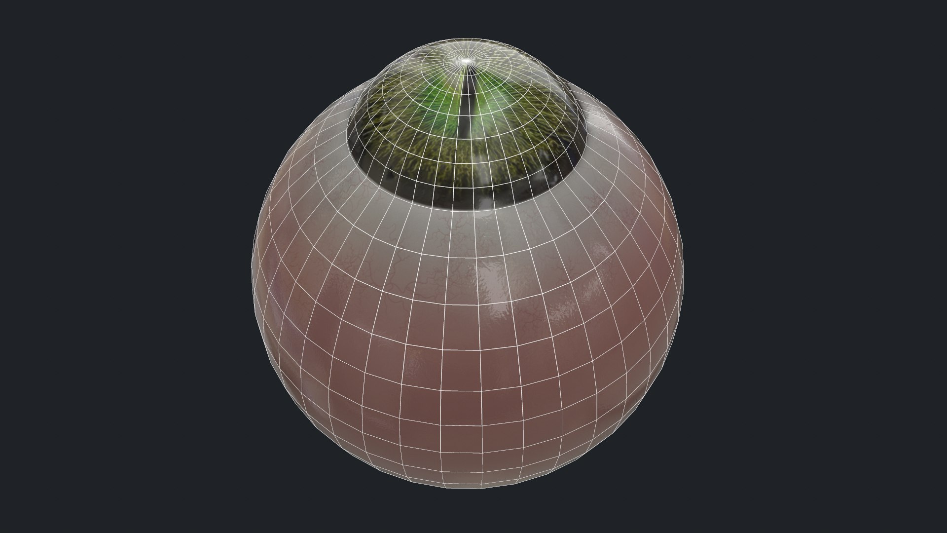 3D eyes creatures model https://p.turbosquid.com/ts-thumb/34/MhLJUo/Bar9nwqh/topologia4/png/1594661226/1920x1080/fit_q87/b0ab63e69aa1ffbc7c2a1f8f234279a556aed597/topologia4.jpg