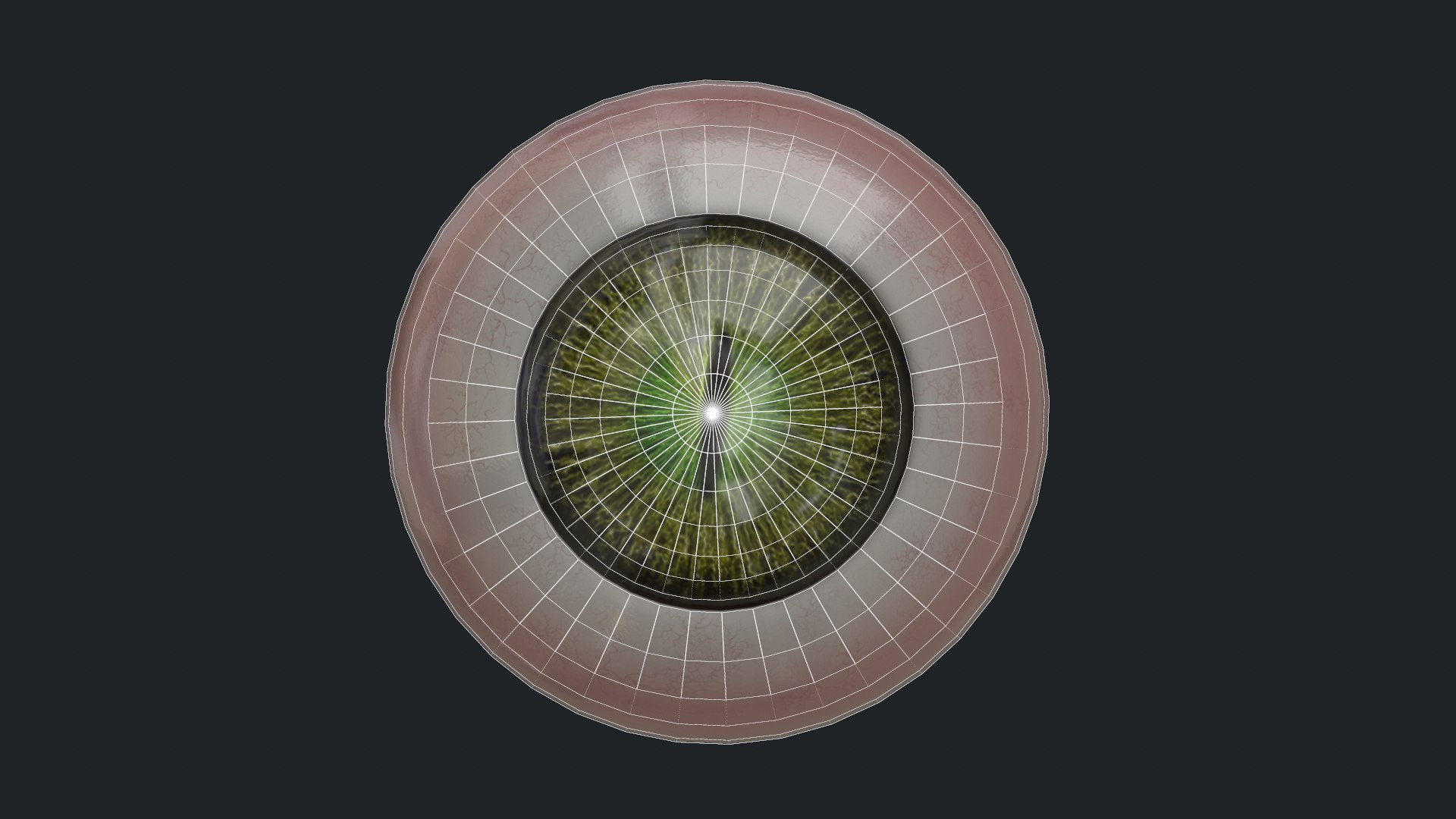 3D eyes creatures model https://p.turbosquid.com/ts-thumb/34/MhLJUo/PbyOAEA1/topologa1/png/1594661048/1920x1080/fit_q87/b171231df0ec9f69fa2f1bcc12c2fc3fb578286a/topologa1.jpg