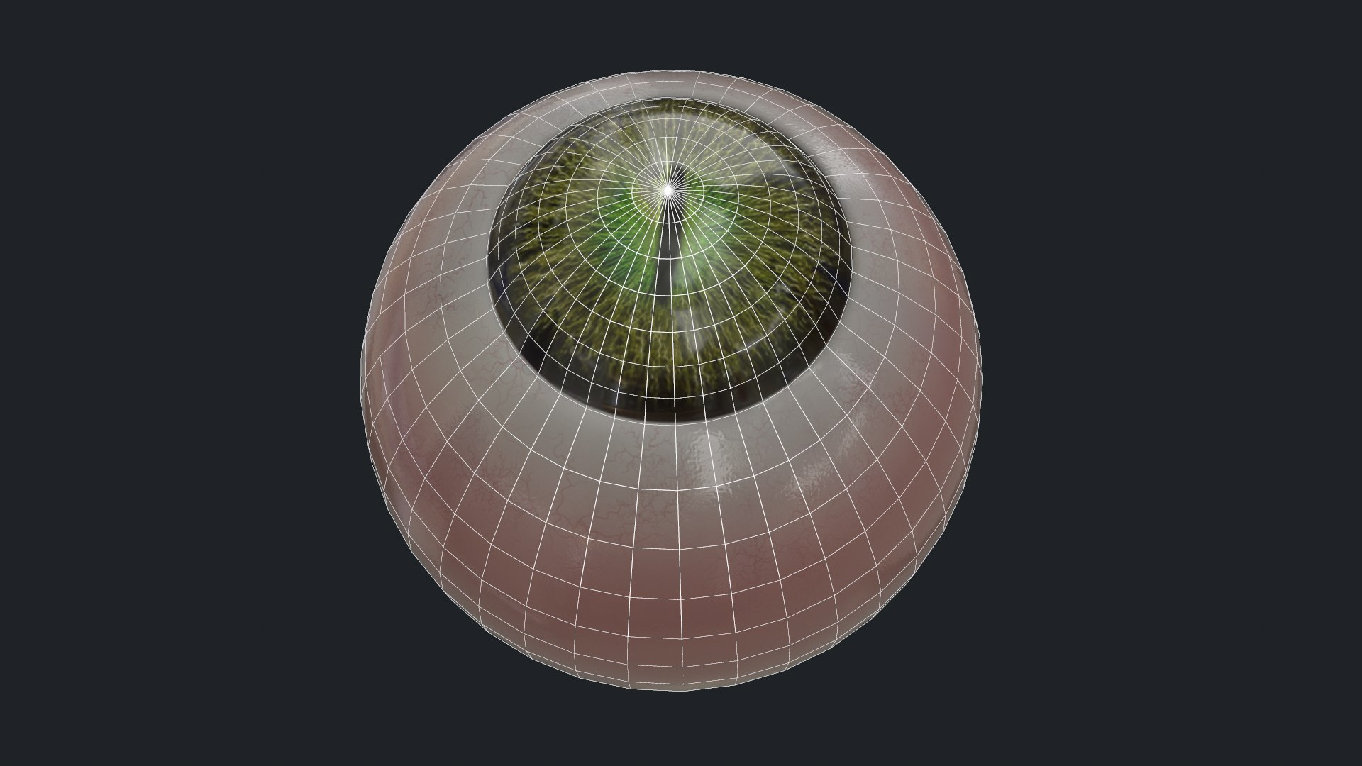 3D eyes creatures model https://p.turbosquid.com/ts-thumb/34/MhLJUo/jrlEfpfr/topologia2/png/1594661118/1920x1080/fit_q87/59087501ba8d4175f5372fce6ea3ab51759c3950/topologia2.jpg